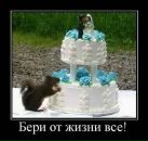 Тетяна Аліфіренко фотография #32 (источник - https://vk.com/id66357014)