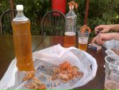 Дмитрий Хусаинов фотография #38 (источник - https://vk.com/id2769033)