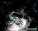 Фотография Каракозовой Анны