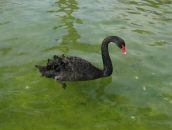 Фотография Шор де Эспиналь Людмилы