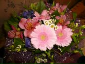 Фотография Гареевой Яны