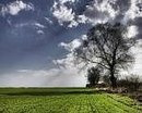 Аліна Бережницька фотография #50 (источник - https://vk.com/id163731238)