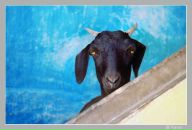 Фотография Руденко Юлии