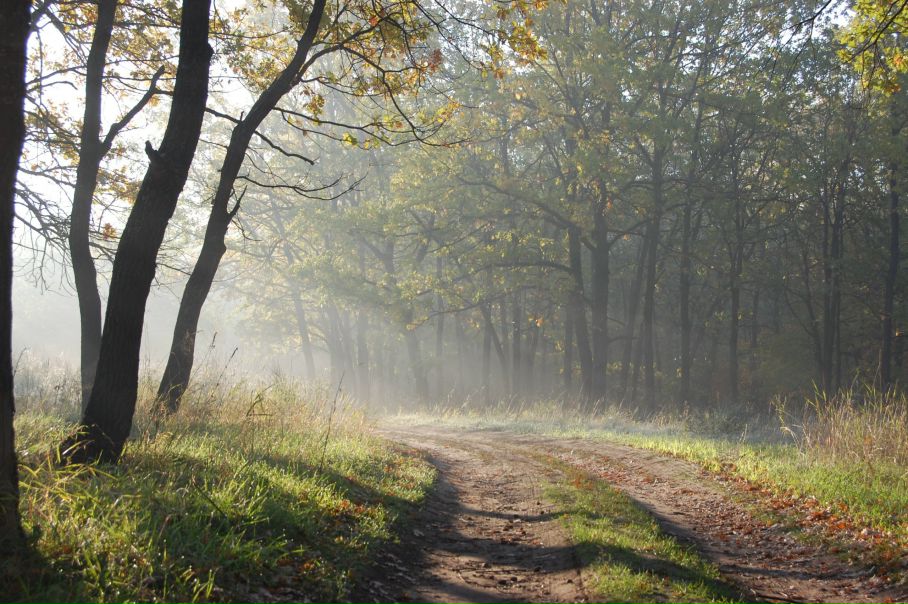 Михаил Яковлев фото №13