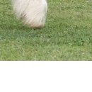 Даша Матинян фотография #25 (источник - https://vk.com/id34196743)