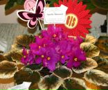 Фотография Резанковой Марии