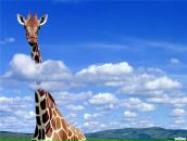 Фотография Ступаковой Ксении