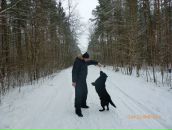 Фотография ר קונסטנטין