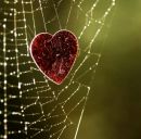 Настюша Федінчик фотография #19 (источник - https://vk.com/id148249538)