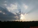 Фотография Сорокиной Светланы