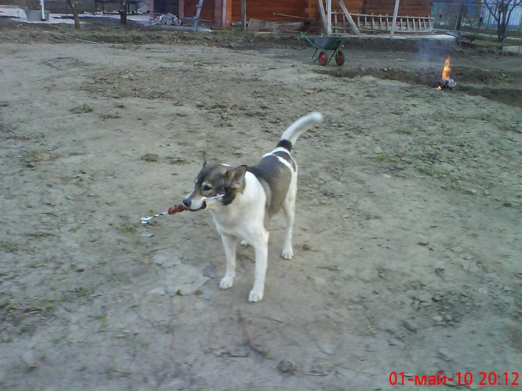 Дмитрий Клыга фотография #17