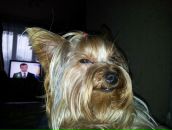 Фотография Голованова Павла