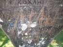 Віталя Сокол фотография #37 (источник - https://vk.com/id155118919)