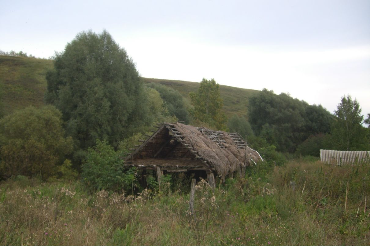 Лина Ли фотография #36