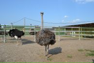 Константин Басалаев фотография #20 (источник - https://vk.com/id257097)