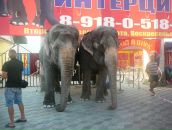 Фотография Сарбах Натальи