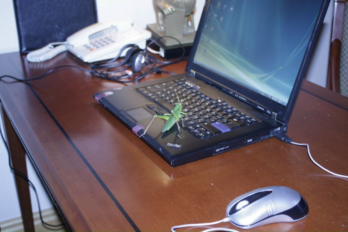 Сергей Микитенко фотография #47