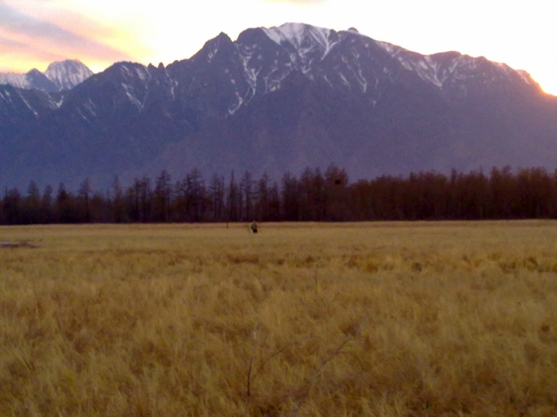 Михаил Рошков фотография #14