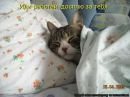 Андруся:)) Лозинська фотография #32 (источник - https://vk.com/id121655750)