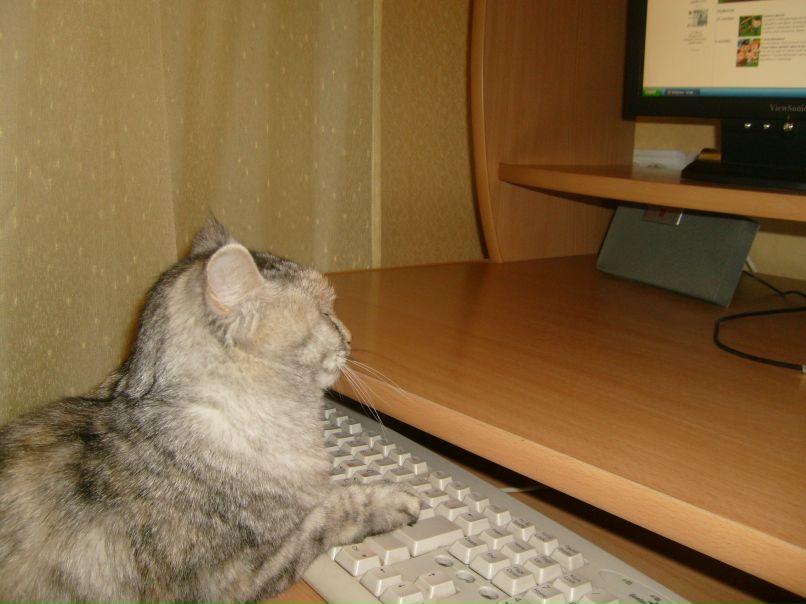 Валентин Караваев фотография #21