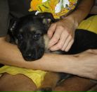 Фотография Никитина Сергея