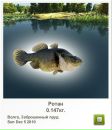 Георгій Пуцкін фотография #43 (источник - https://vk.com/id98163851)