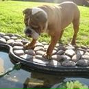 Фотография Журавеля Антона