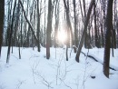 Фотография Перчаткиной Натальи
