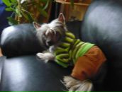 Фотография Бабенко Жанны