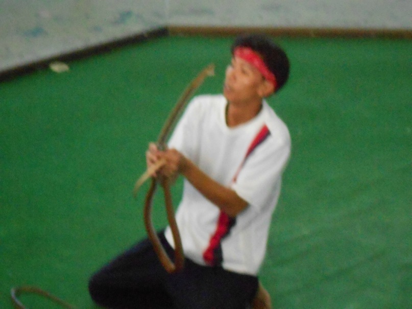 Дмитрий Мелехов фотография #45