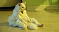 Фотография Игнатьева Игоря