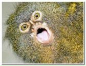 Фотография Климушкиной Анны