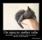 Фотография Банновой Дарьи