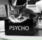 Фотография Сохацкой Екатерины