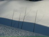 Иван Никулин фотография #39 (источник - https://vk.com/id755602)